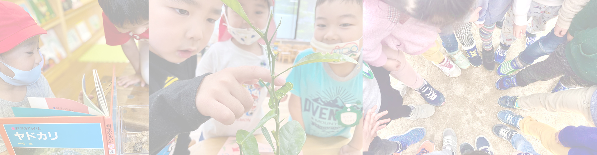 あやめ幼稚園の教育方針