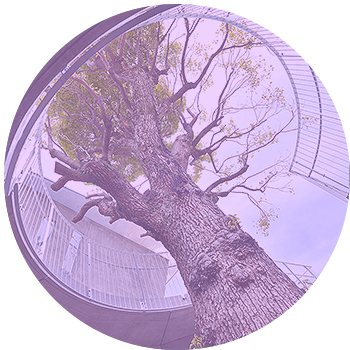 あやめ幼稚園の園の様子