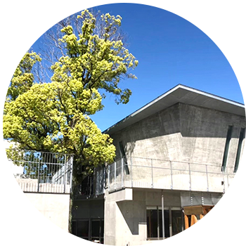 あやめ幼稚園 入園・転入の方