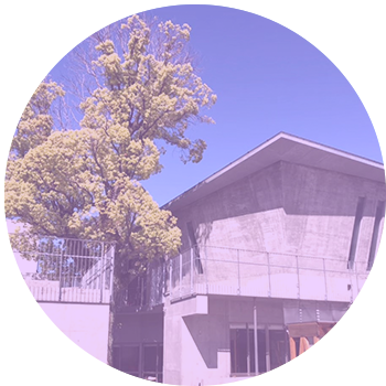 あやめ幼稚園 入園・転入の方