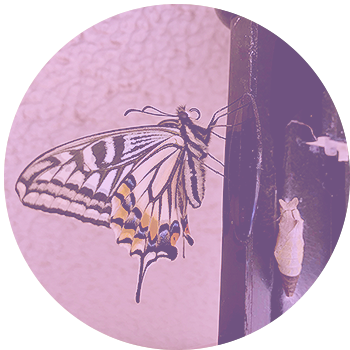 園長メッセージ